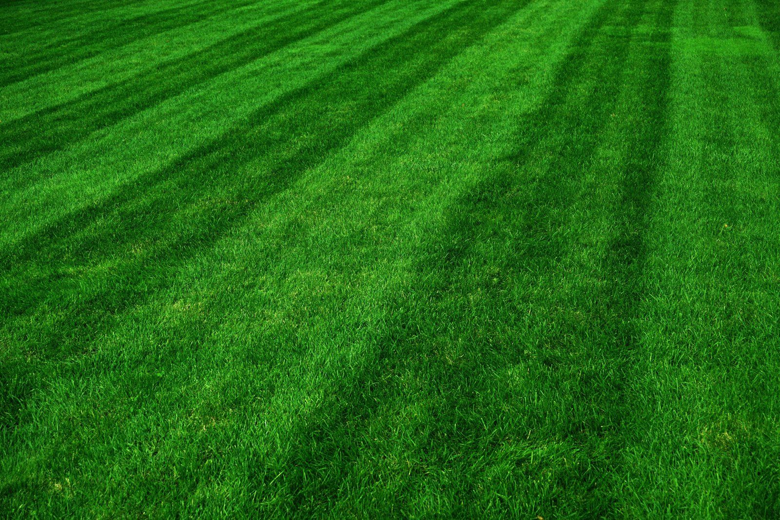 Landscaping project by Landscaper Luke in Connecticut